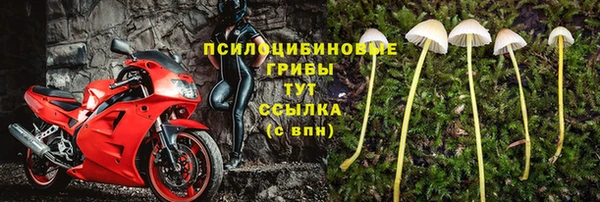 спайс Белокуриха