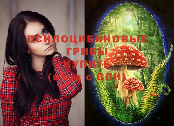 спайс Белокуриха