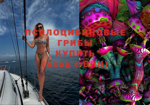 спайс Белокуриха