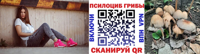 Купить закладки  Можайск  Галлюциногенные грибы Psilocybe 